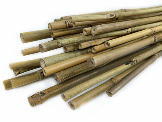 Tutores bambu - Huerto