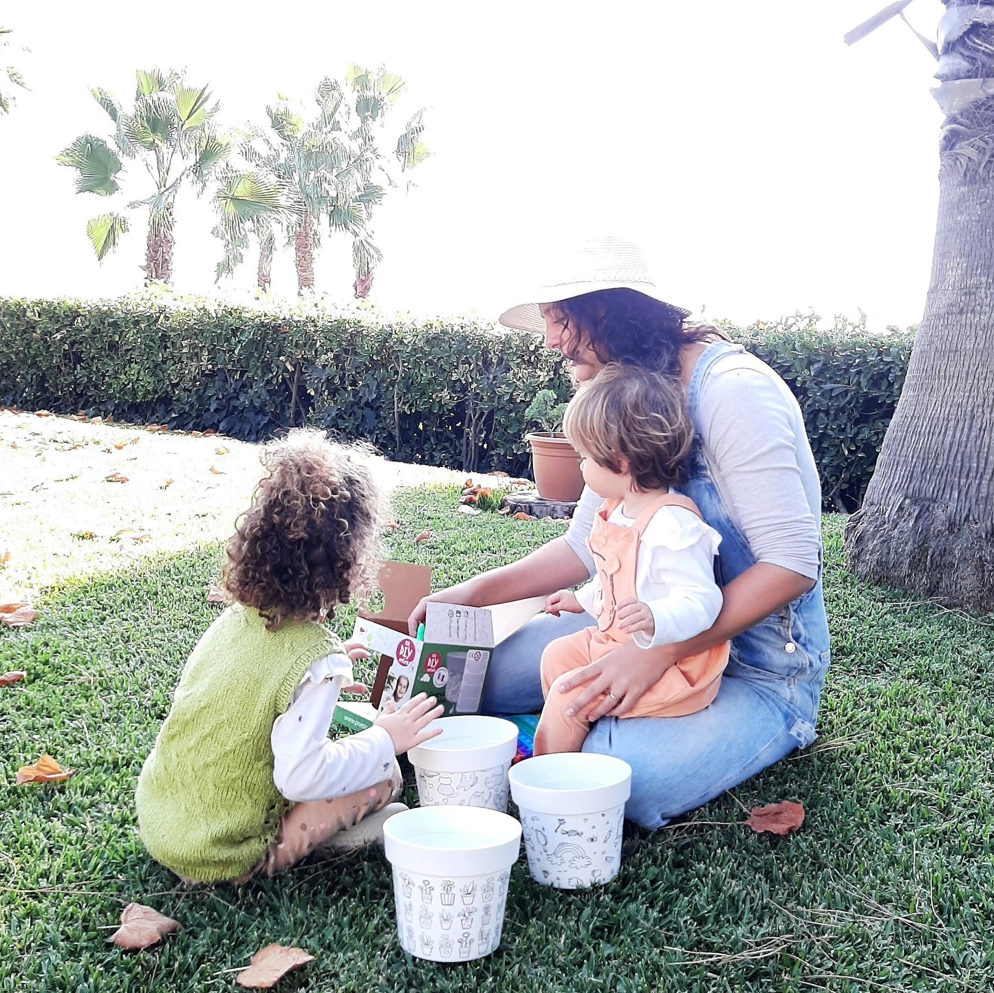 Coloring Pots + Calendula Seeds - Junior DIY Kit