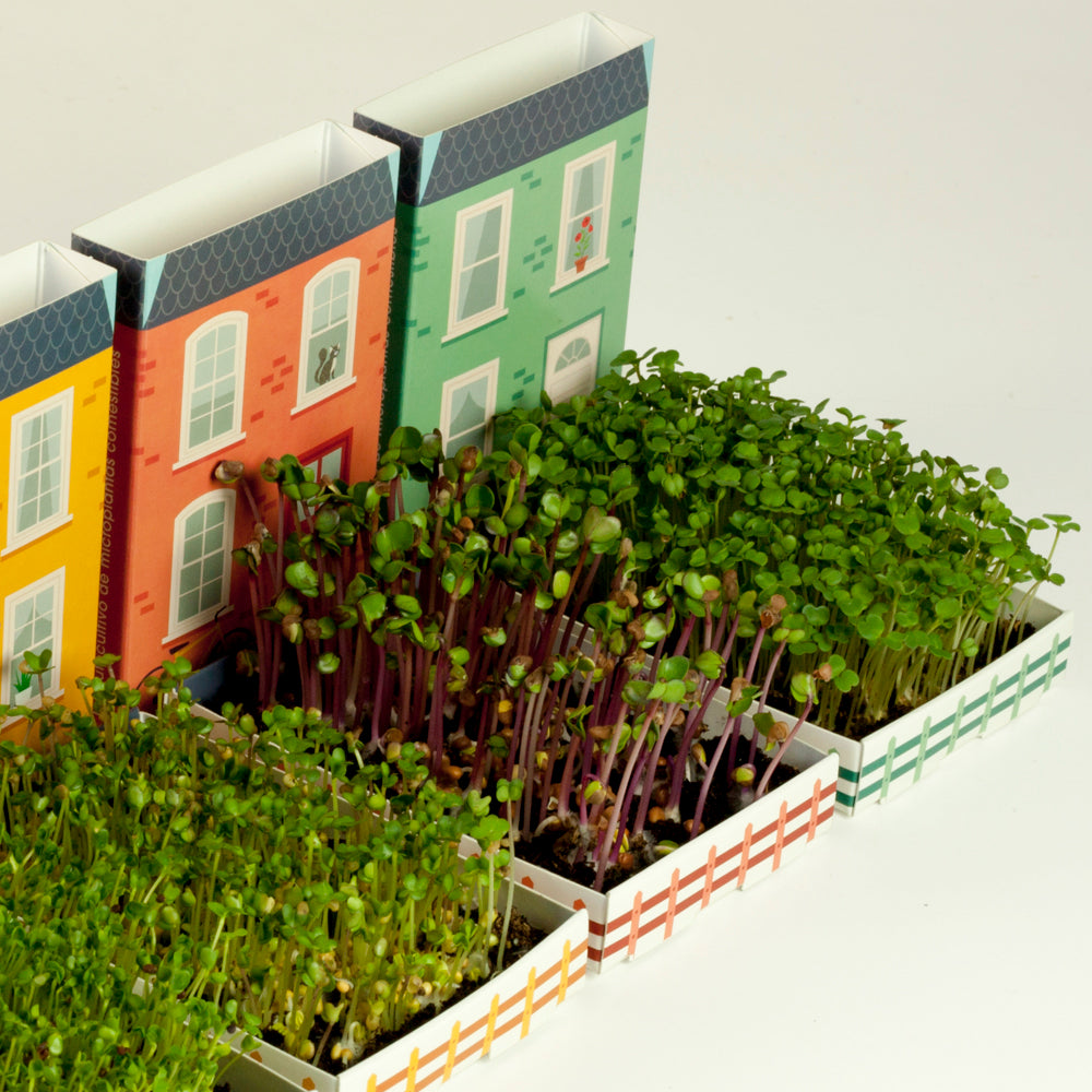 Microplants Pack - Special offer 4 houses for the price of 3