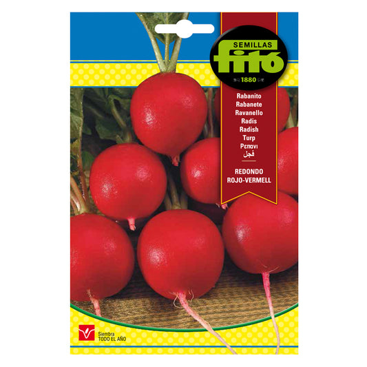 Fitó Seeds - Conventional Horticulturals - Red Round Radish-Vermell